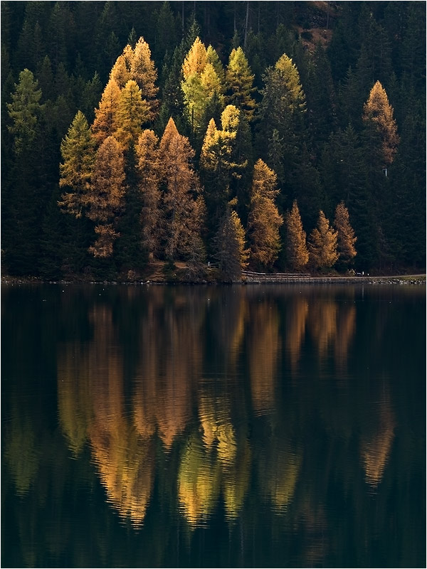 Vormittags am See