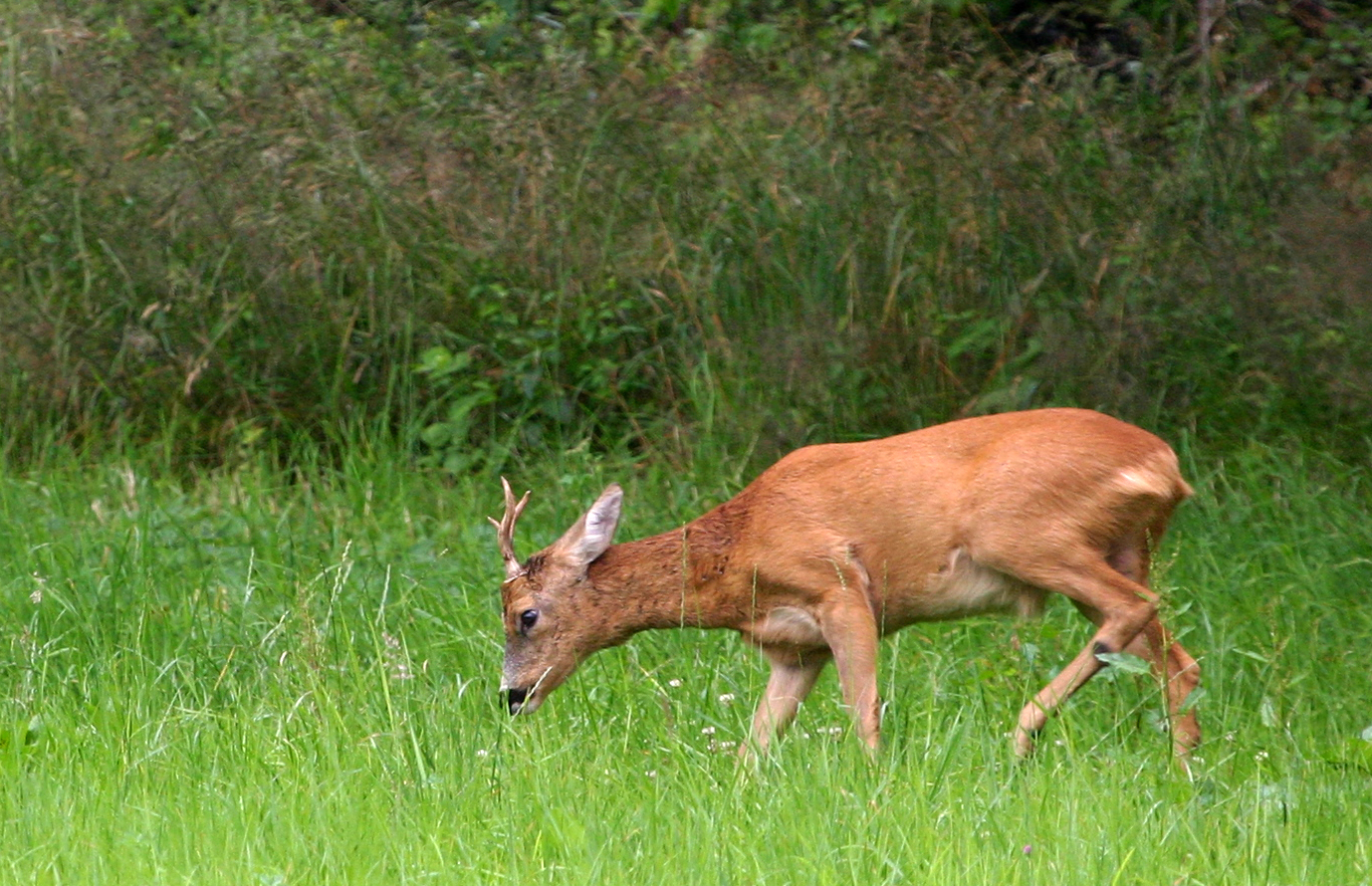 vormittags gemütlich 