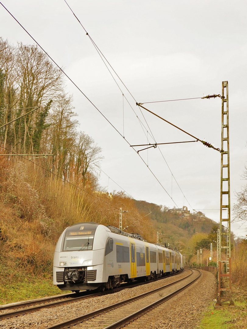 Vormittags im Rheintal