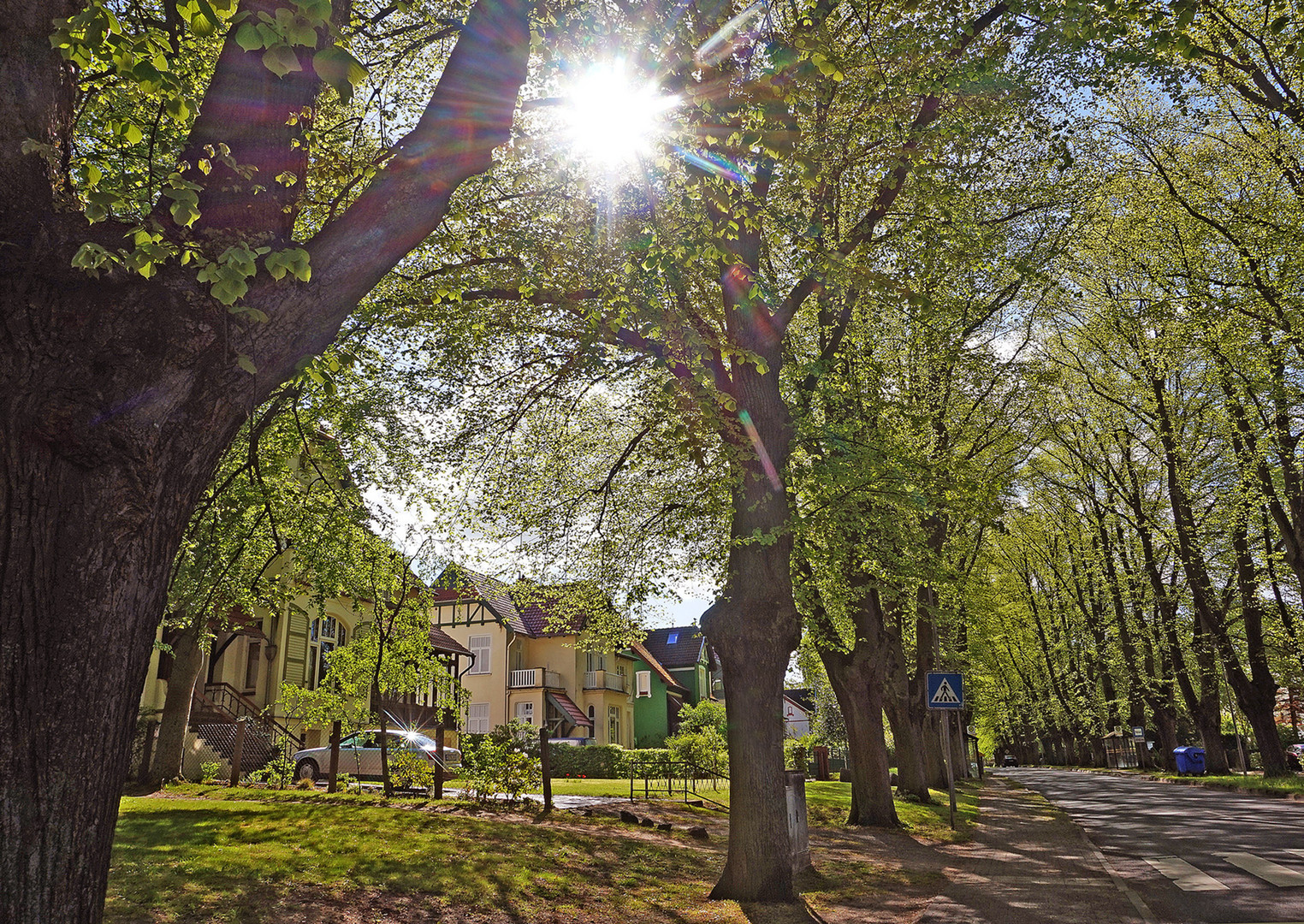 Vormittags in der Dammchaussee