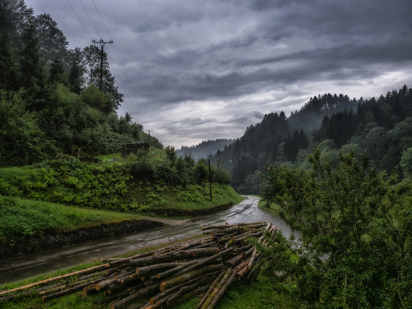 Vormittagsregen im Schwarzwaldtal