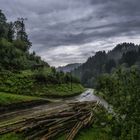 Vormittagsregen im Schwarzwaldtal