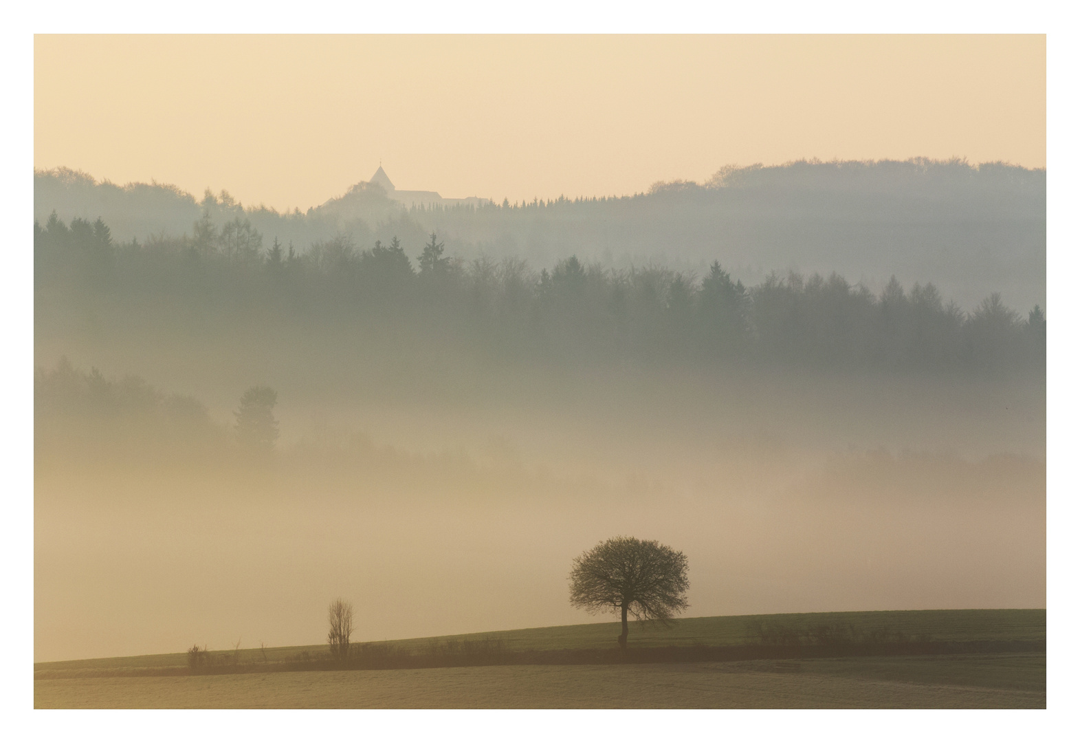 Vorn der Baum, ganz hinten das Schloß