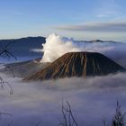 Vorne der Mount Batok, dahinter der rauchende Mount Bromo