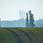 Vorne Land hinten Stadt