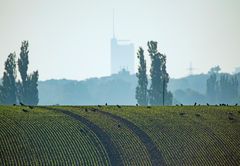 Vorne Land hinten Stadt