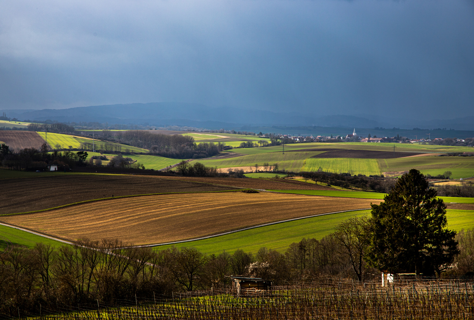 Vorne Sonne