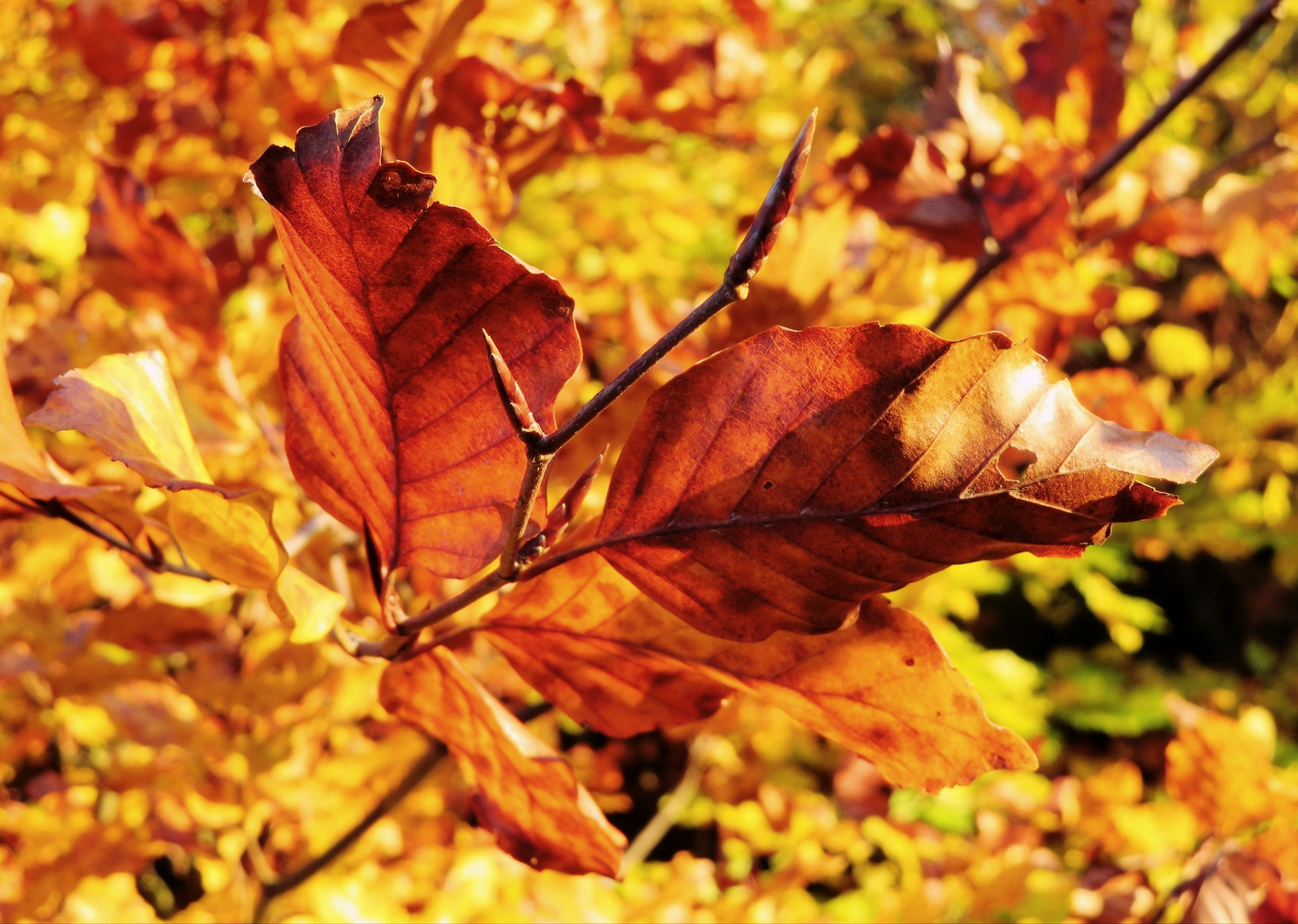 Vorne und hinten