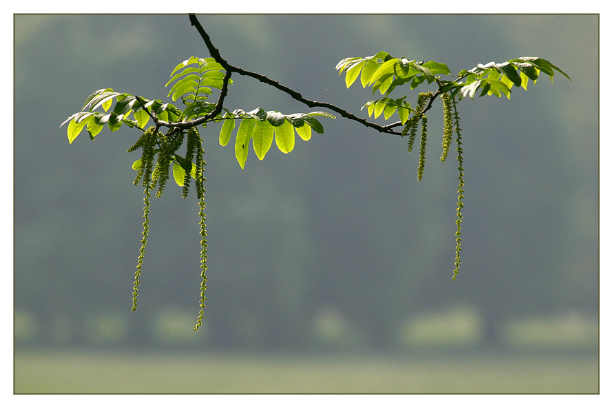 vorne und hinten