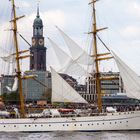 vorneweg die Gorch Fock