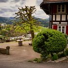 Vorplatz der Köninger-Hof Mühle