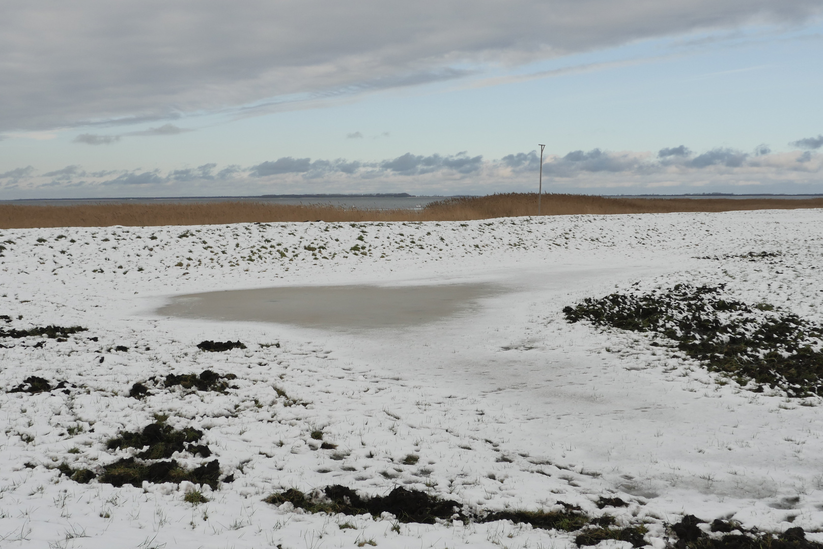 Vorpommern - Boddenlandschaft mit Sommerdeich