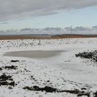 Vorpommern - Boddenlandschaft mit Sommerdeich