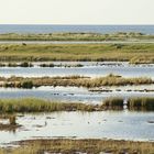 Vorpommersche Boddenlandschaft