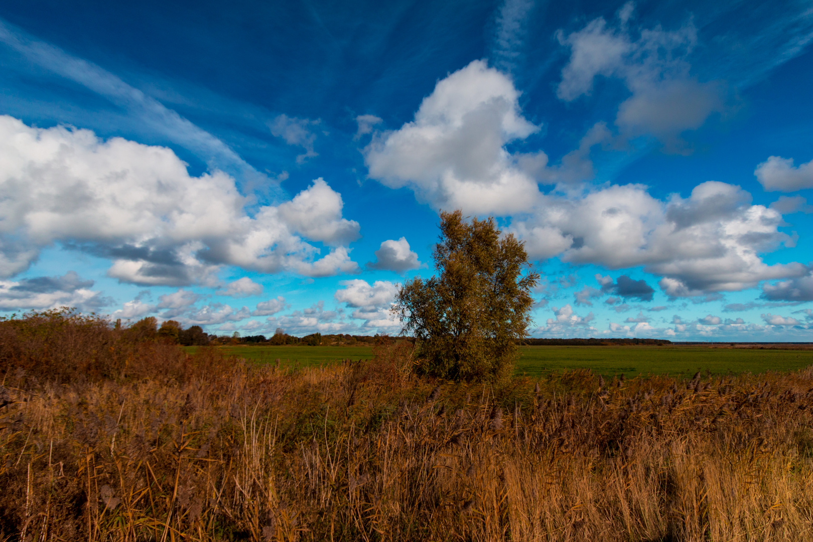 Vorpommersche Boddenlandschaft