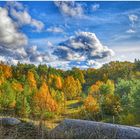 Vorpommersche Herbstlandschaft