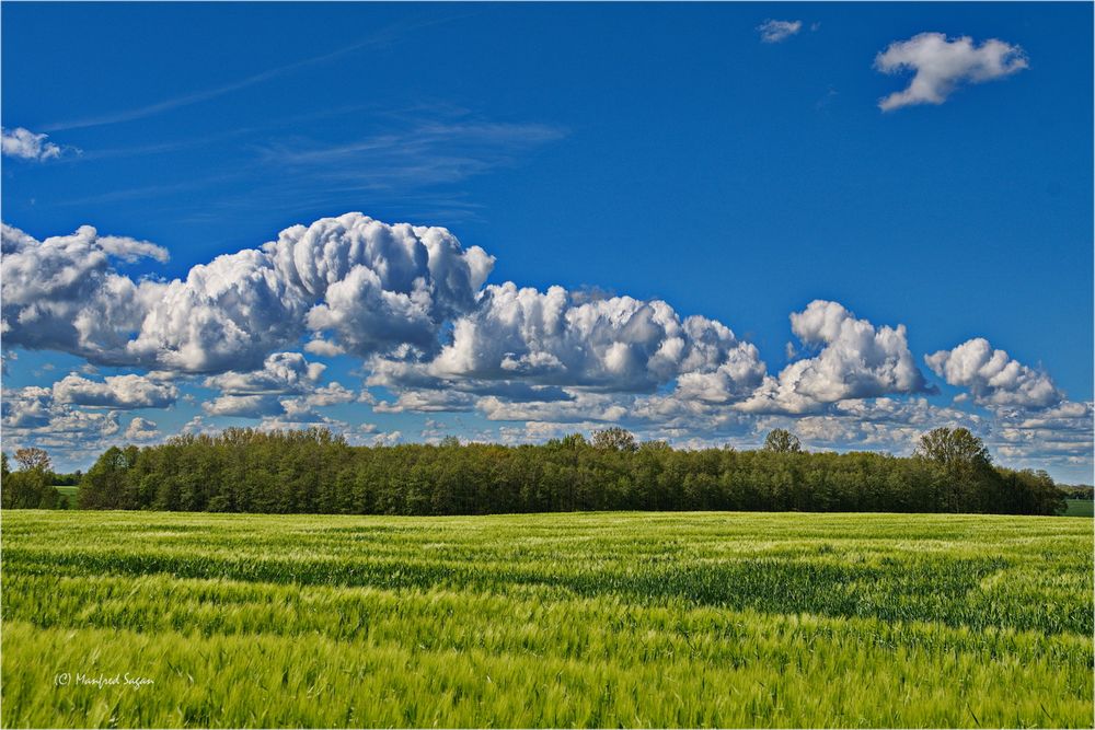 Bilder mit Gelb: Eine Reise in die Welt der Farbe