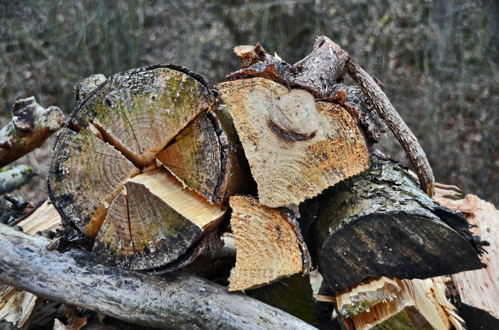 Vorrat, der nächste Winter kommt bestimmt