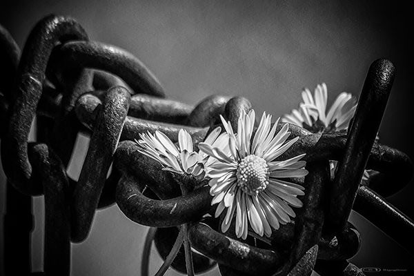 Vorrei che fosse Amore