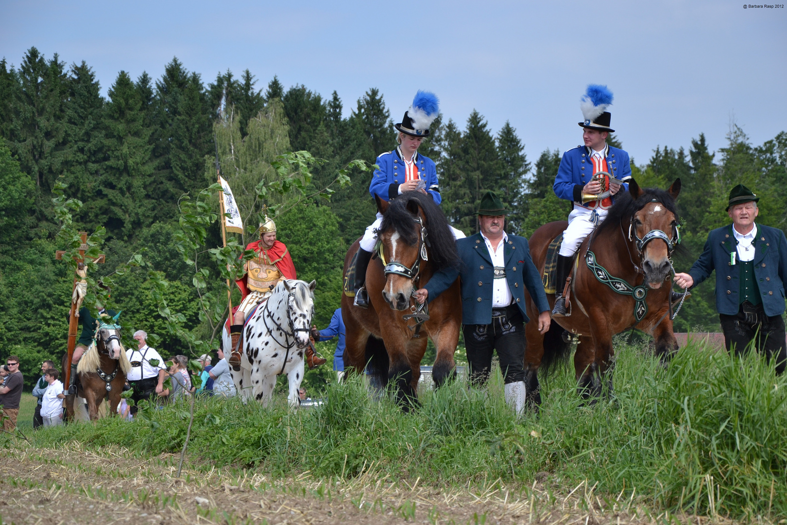 Vorreiter Leonhardiritt Holzhausen 2012