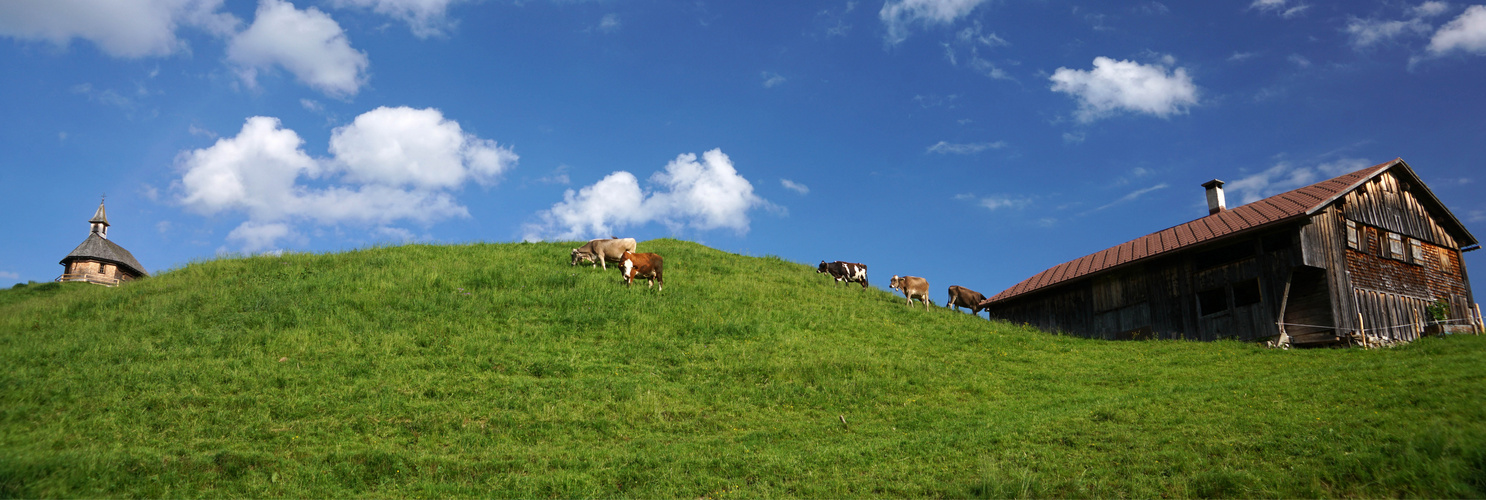 Vorsäss Schalzbach 