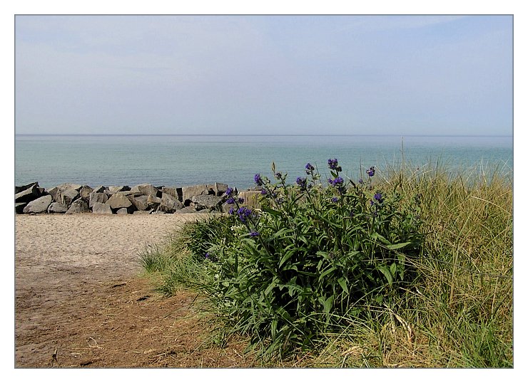 Vorsaison auf Hiddensee