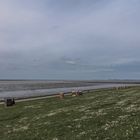 Vorsaison Büsum