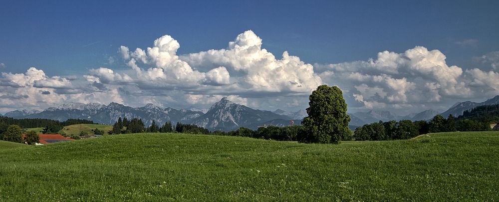 Vorschau....