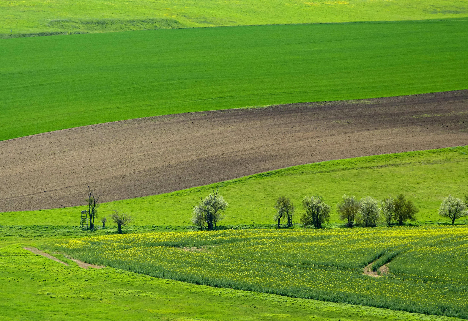 Vorschau auf den Frühling