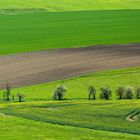 Vorschau auf den Frühling