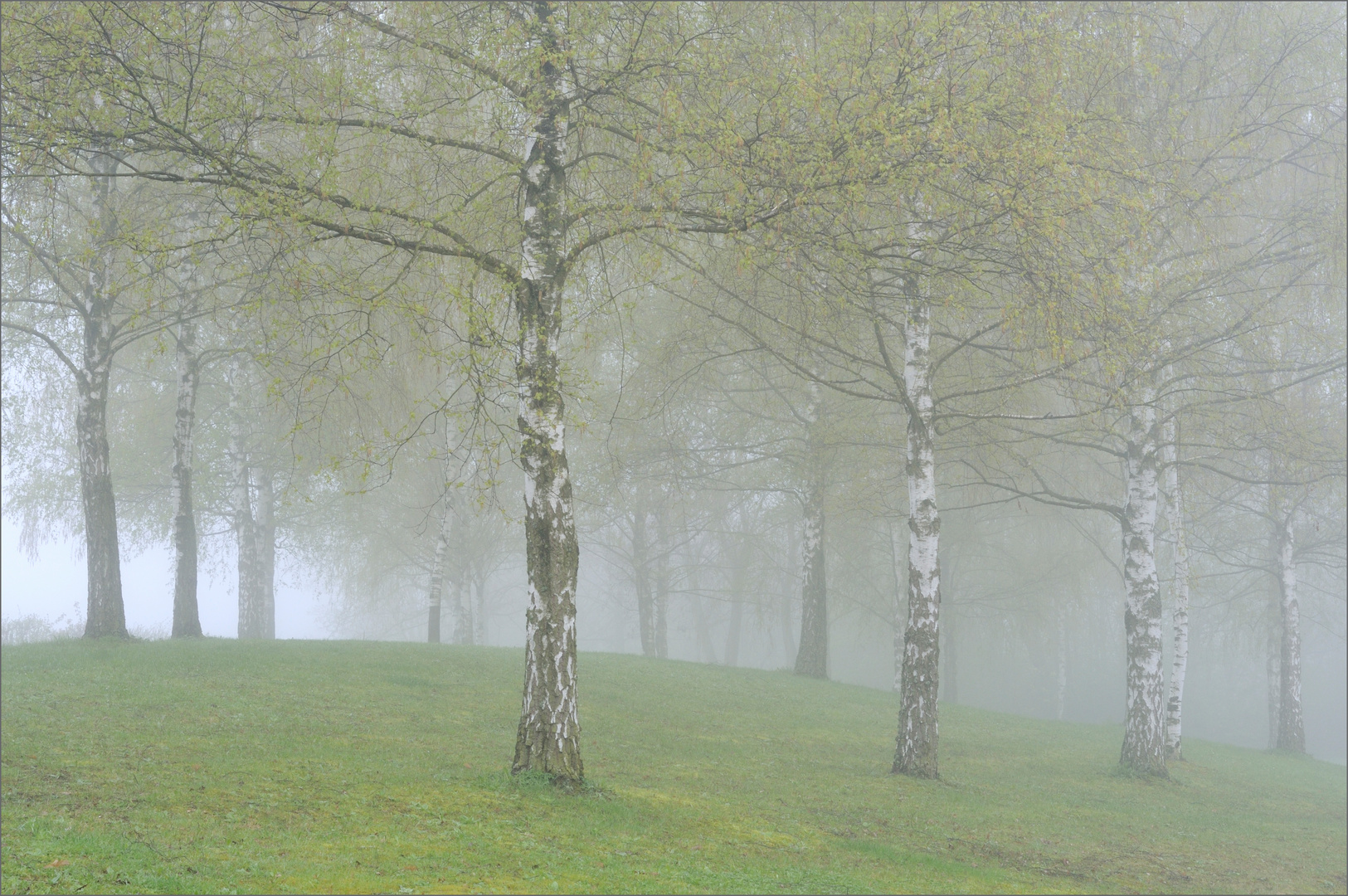 Vorschau auf den Frühling.