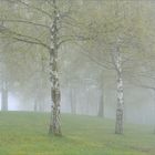 Vorschau auf den Frühling.