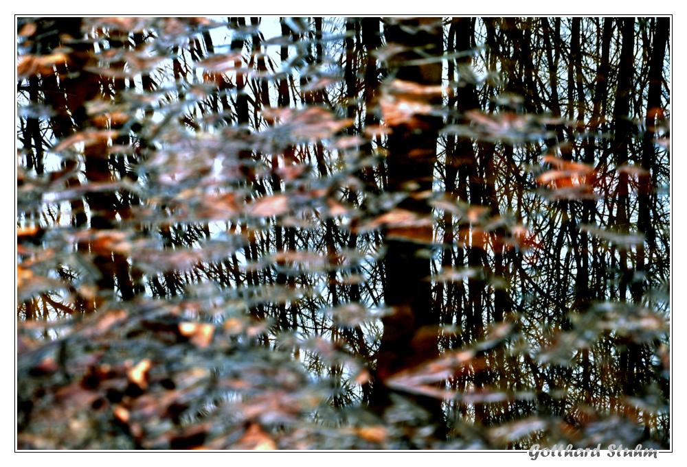 Vorschau auf den Herbst