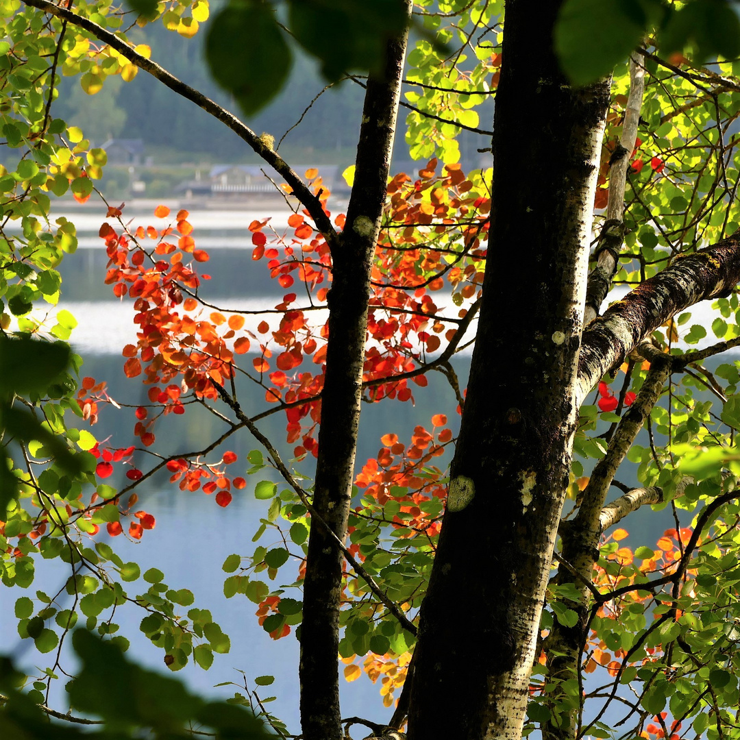 Vorschau auf den Herbst