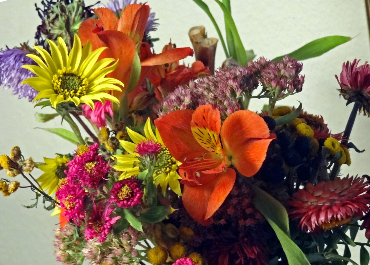 Vorschau aufs kommende schlechte wetter - daher komm ich mit ein paar blumen!