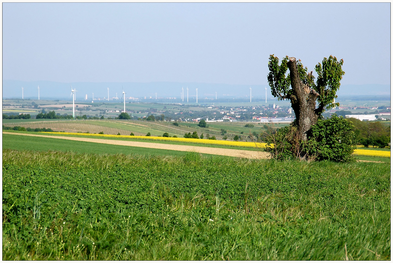 Vorschau - bzw. Rüchblick (2)...