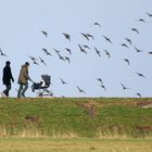 Vorschulische Vogelkunde