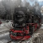 Vorsicht an der Bahnsteigkante