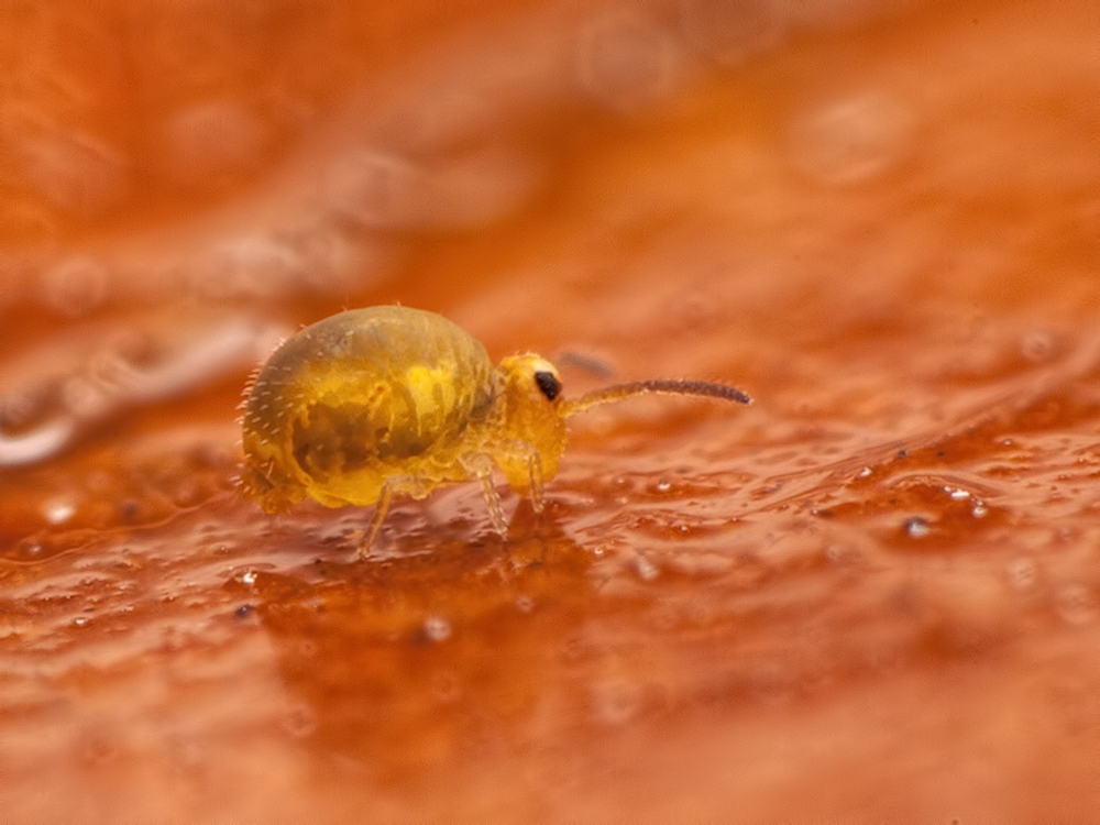 Vorsicht, Aquaplaning !