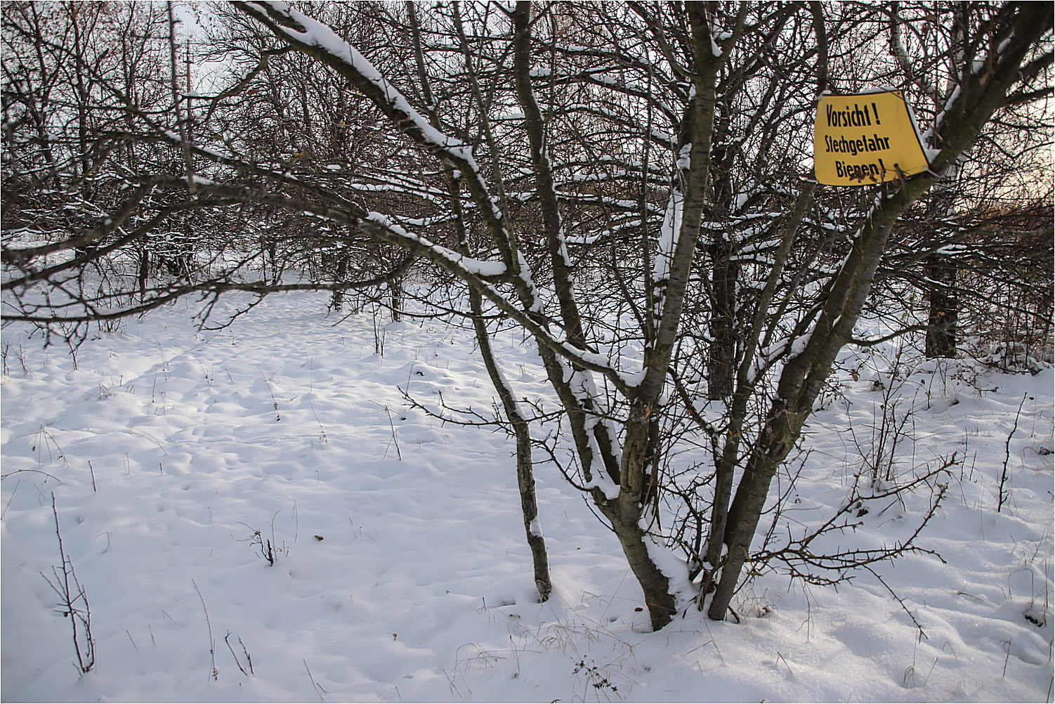 Vorsicht Bienen