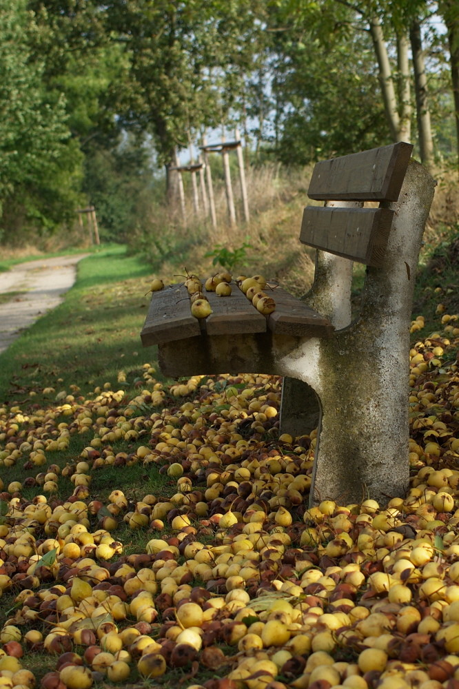 Vorsicht Birnen