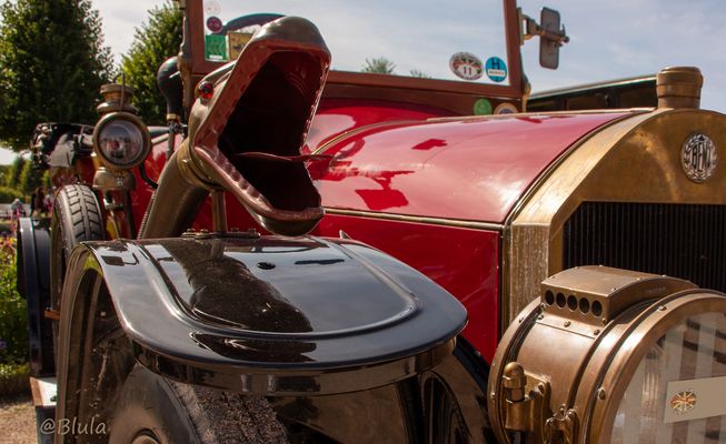 Vorsicht bissiger Benz  !!!!!