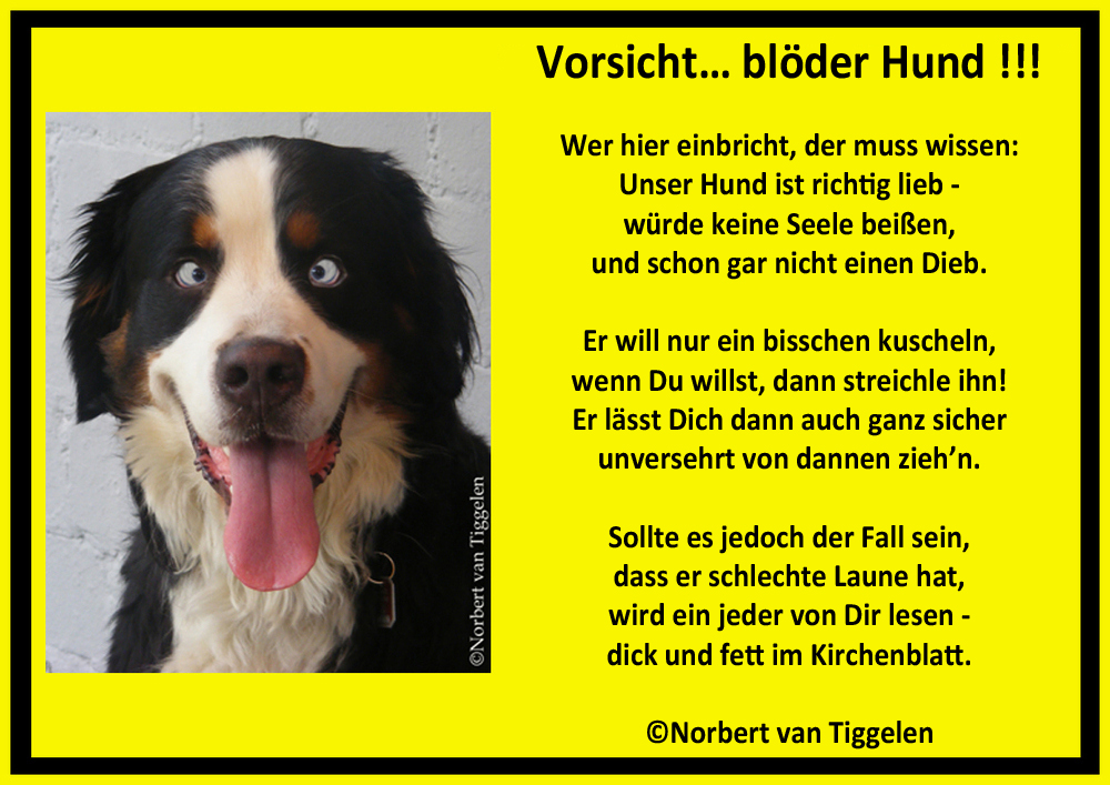 Vorsicht Hund