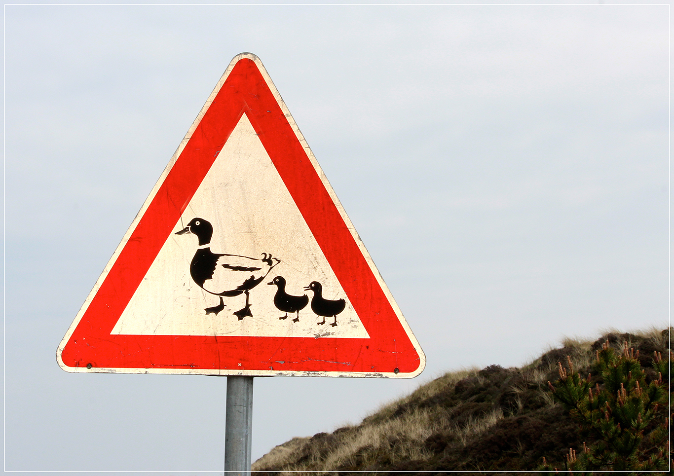 Vorsicht Foto Bild quatsch fun und r tselecke Vorsicht Foto Bild quatsch fun und r tselecke