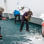 Vorsicht Eisbär!