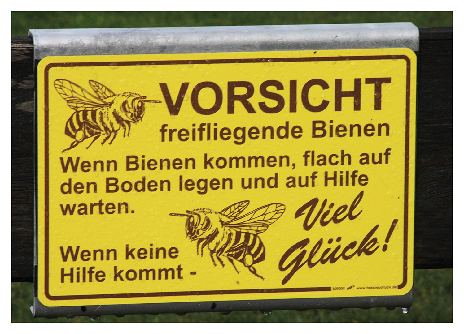 Vorsicht freifliegende Bienen