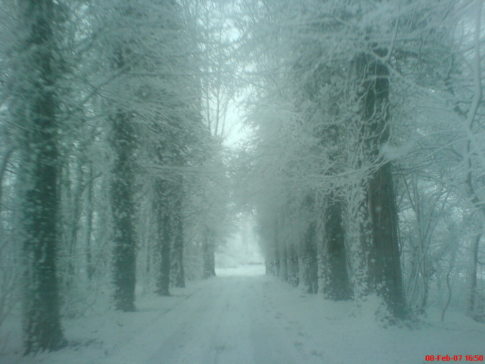 Vorsicht glatt.