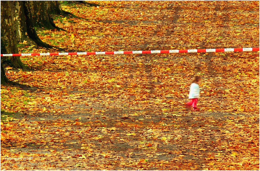 ** VORSICHT HERBST **