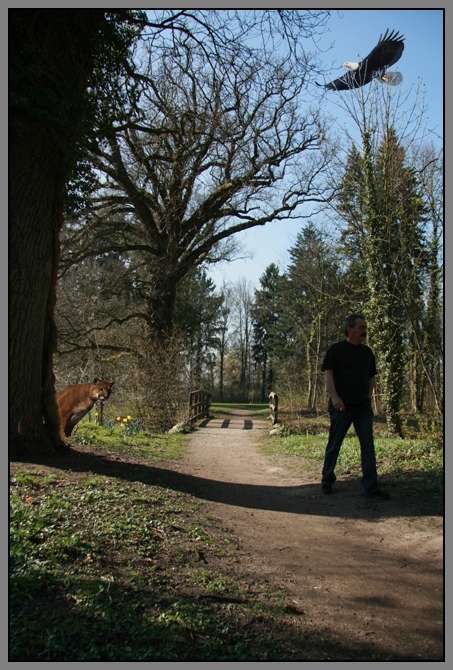 Vorsicht in der Natur