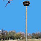 Vorsicht ! Kein Landeplatz für Sportflugzeuge.